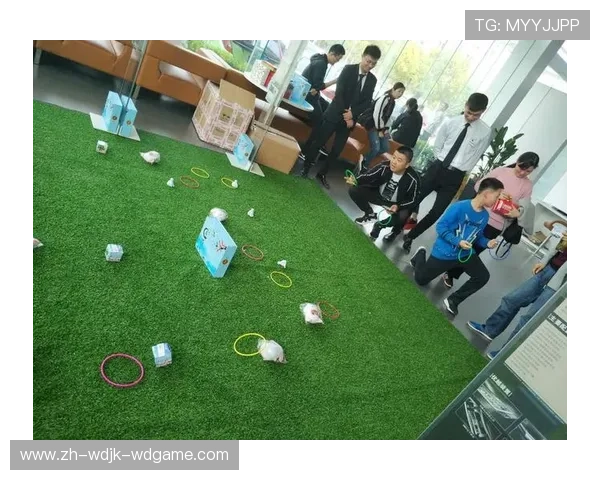 黑黄风暴来袭大黄蜂功能性健身器材开箱测评