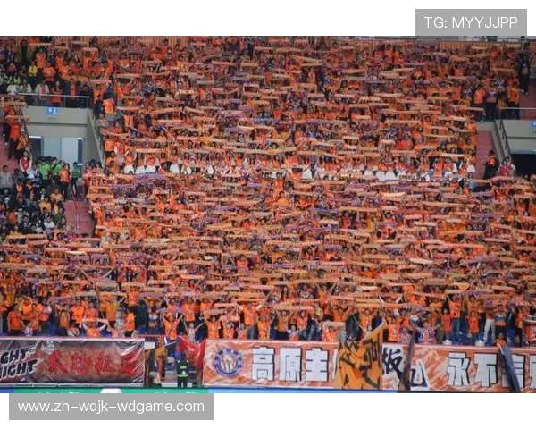 足球赛事中的观赛体验与球迷文化发展